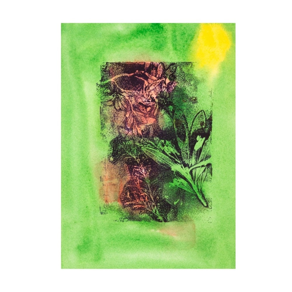 105 Molly Hemming - Native Plants - Gelli plate print with acrylic