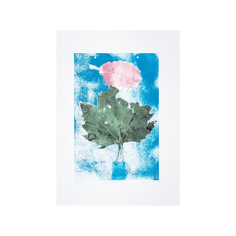 131 Jacqueline Shafar- Botanical Series - Monotype