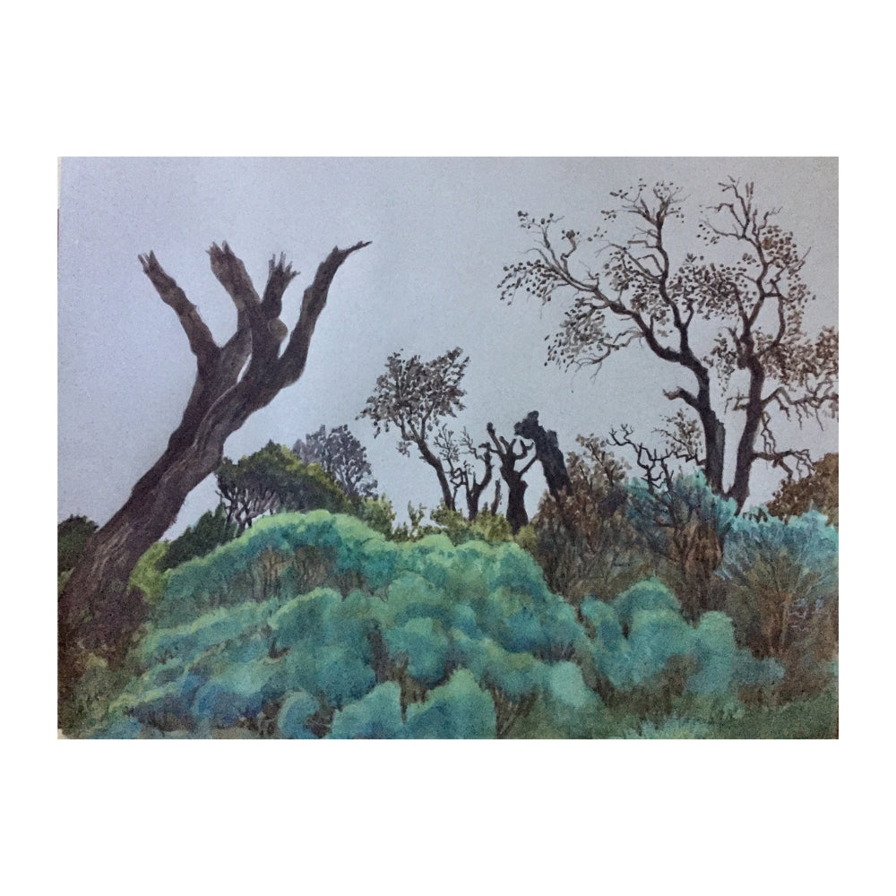 Gregory Alexander-BROKEN BANKSIA TREES RICKETT’S POINT- Seven Creatives